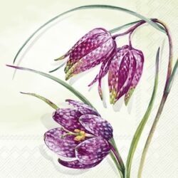 Servetten IHR - Fritillaria meleagris